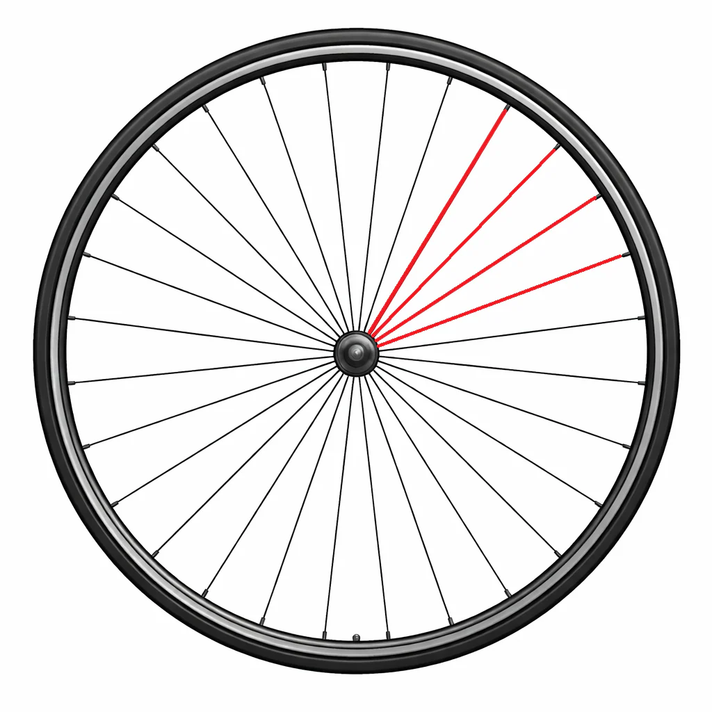 Kit de 4 Rayons CAMPAGNOLO + Écrous BORA WTO 35 C23 Arrière Gauche 270mm