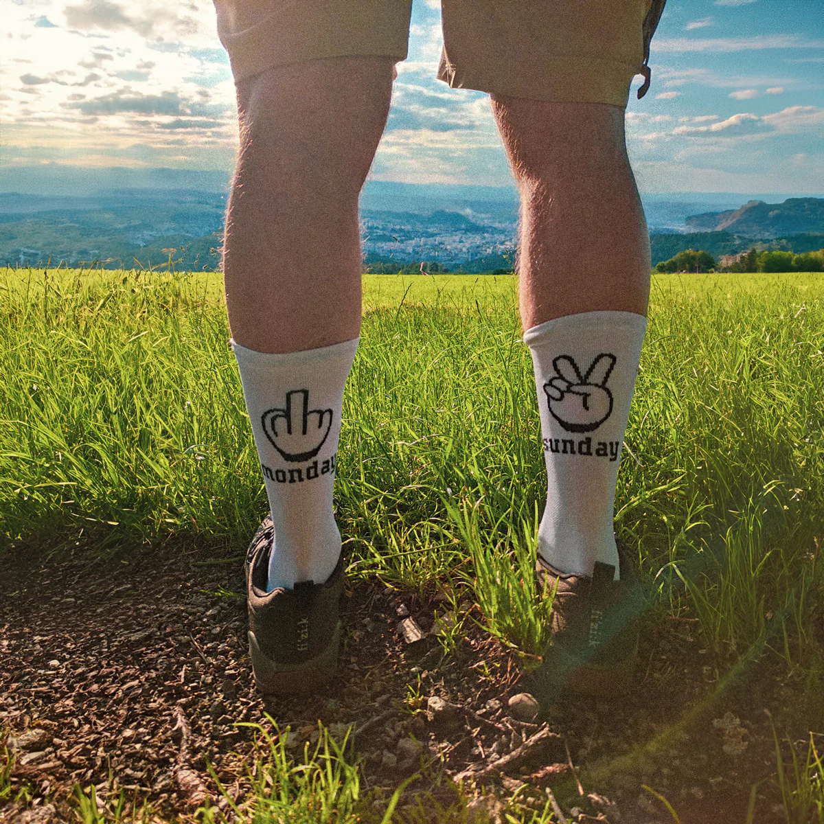 Chaussettes NORTHWAVE SUNDAY MONDAY Blanc - Image 2