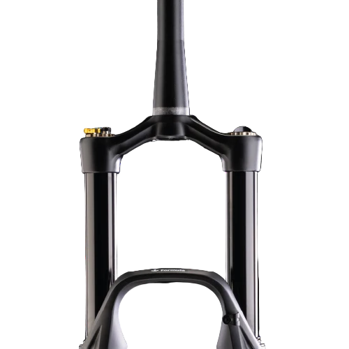Fourche FORMULA SELVA S 29" Axe 15x110mm Boost Noir - Image 2