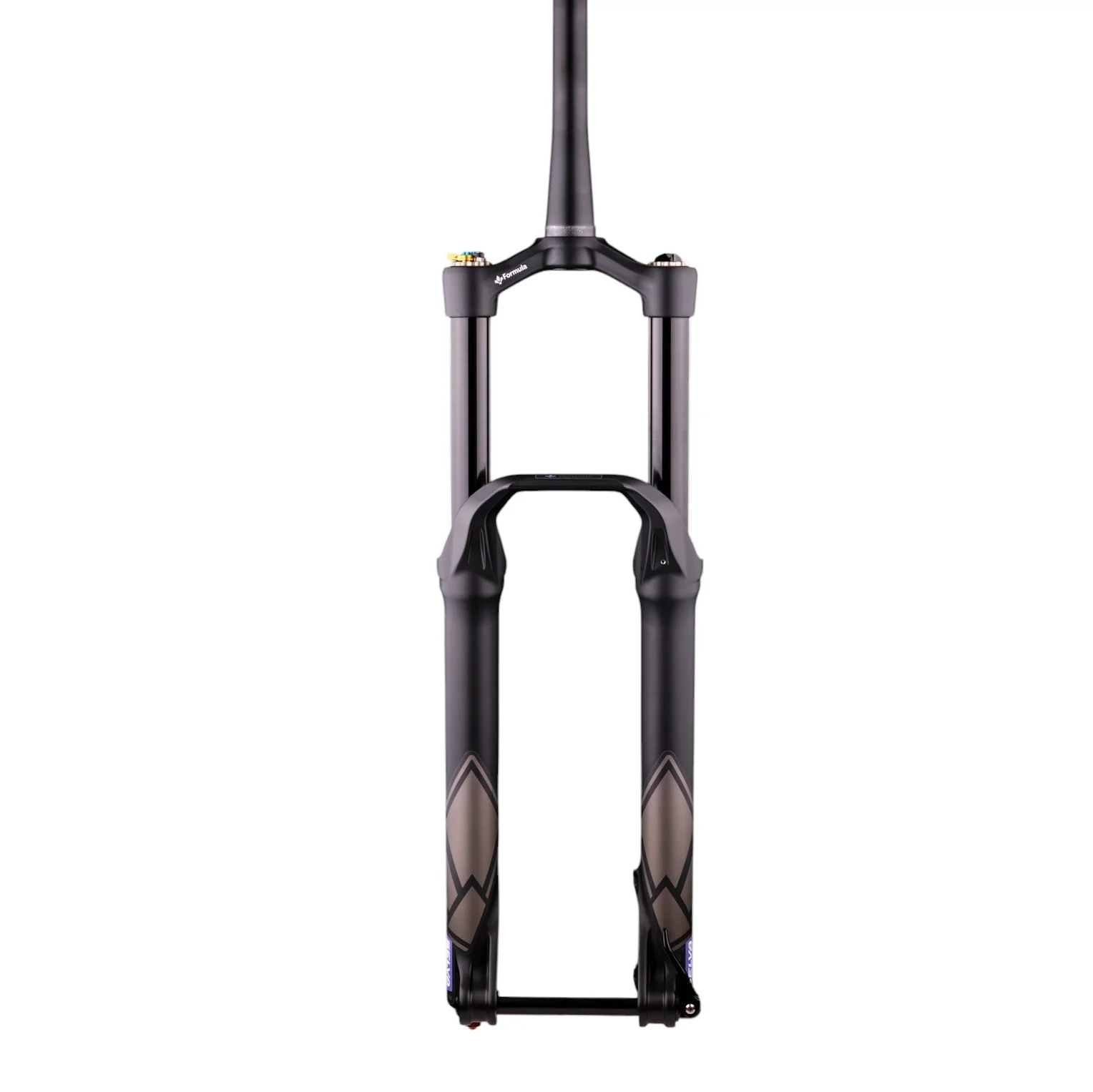 Fourche FORMULA SELVA V 29" Axe 15x110mm Boost Noir - Image 2