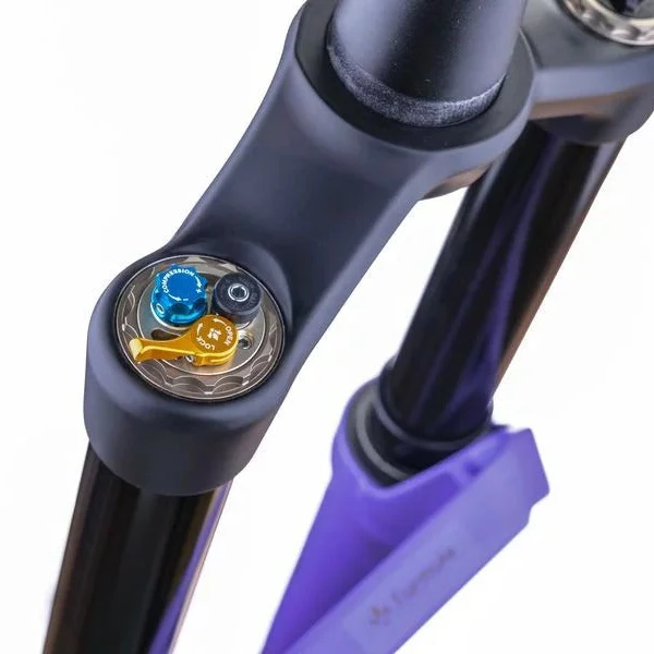 Fourche FORMULA SELVA V 29" Axe 15x110mm Boost Ultraviolet - Image 4
