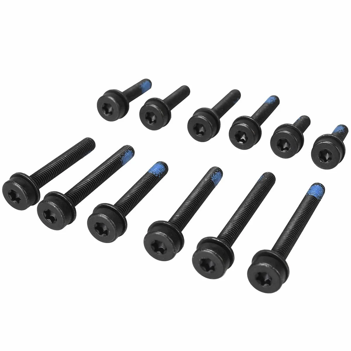 Kit de 12 Vis T25 MAGURA pour Montage FlatMount Arrière - Image 2