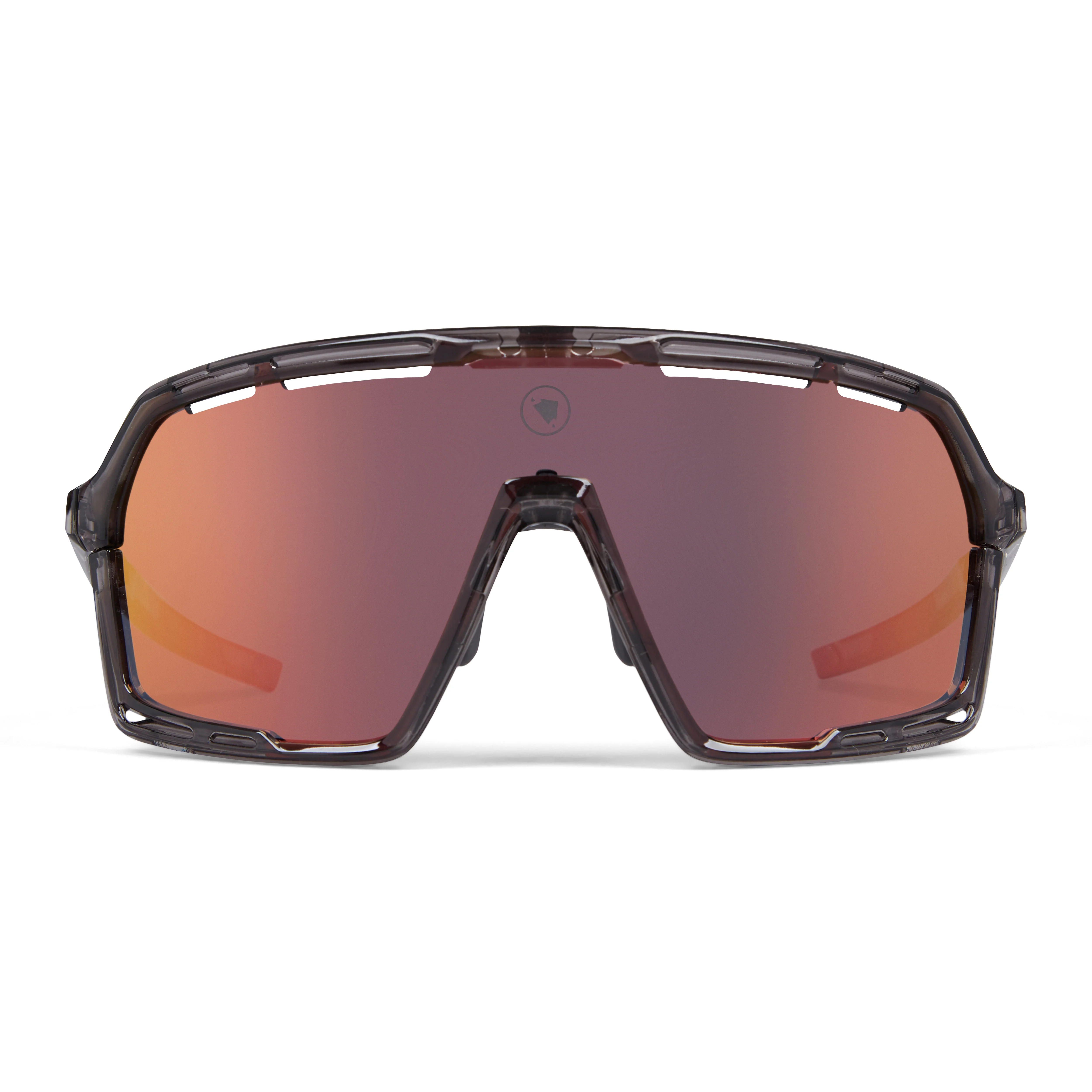 Lunettes ENDURA PRO SL Gris
