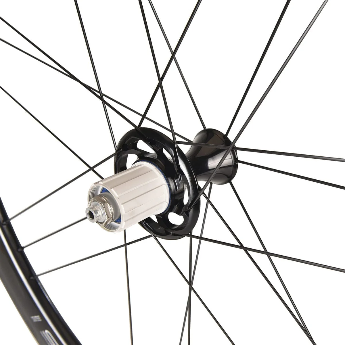 Paire de Roues CAMPAGNOLO BORA WTO 45 - Image 2