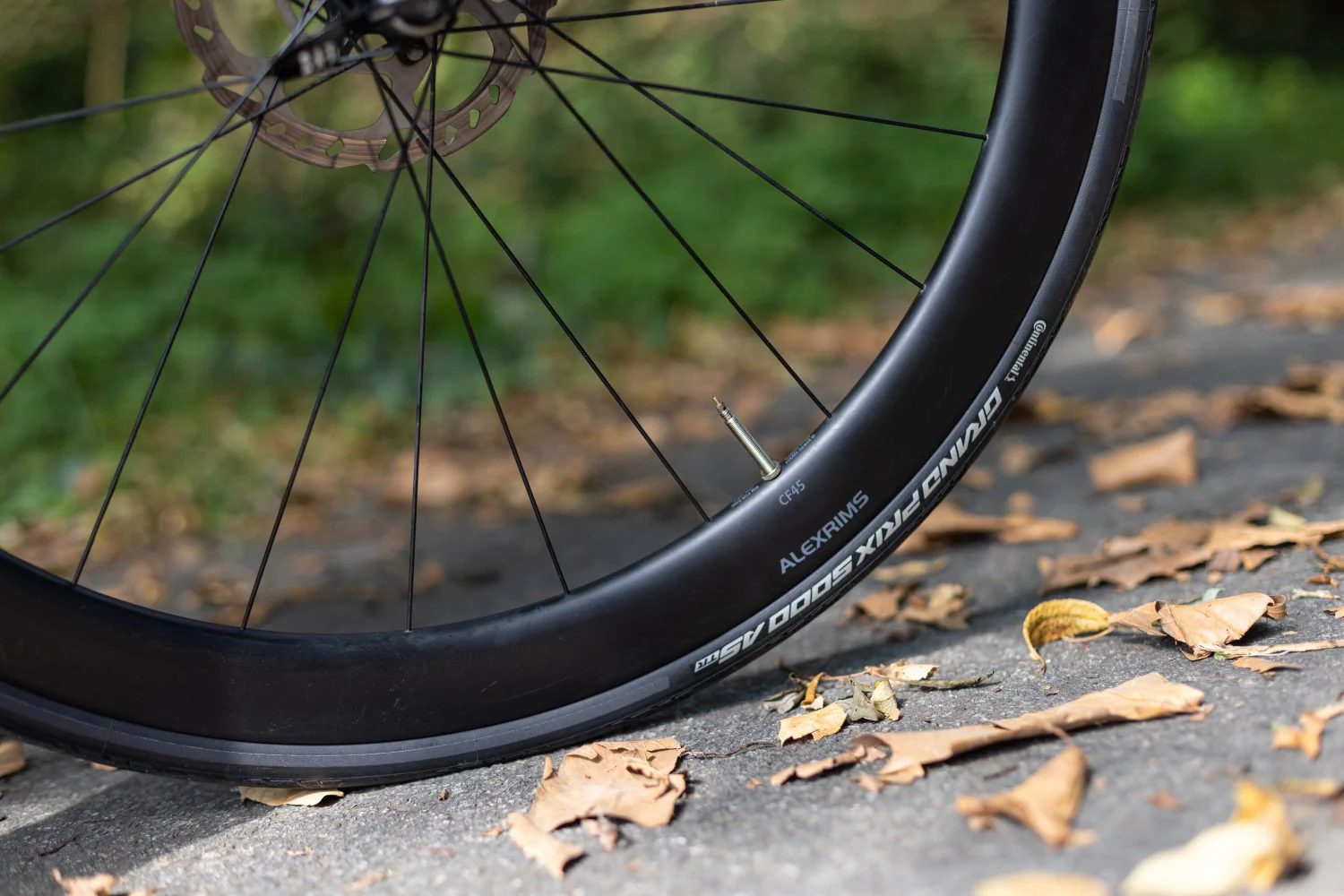 Pneu CONTINENTAL GRAND PRIX 5000 ALL SEASON 700c Tubeless Ready Noir - Image 3
