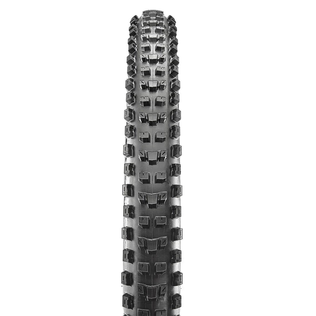 Pneu MAXXIS DISSECTOR 27.5x2.60 Exo Tubeless Ready Souple Noir - Image 2