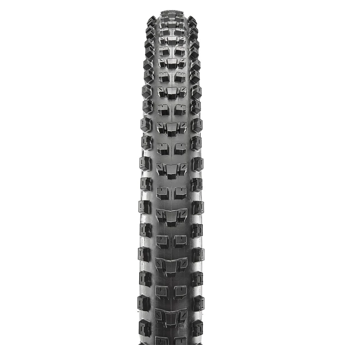 Pneu MAXXIS DISSECTOR 29x2.40 WT Double Down 3C MaxxGrip Tubeless Ready Souple Noir - Image 2