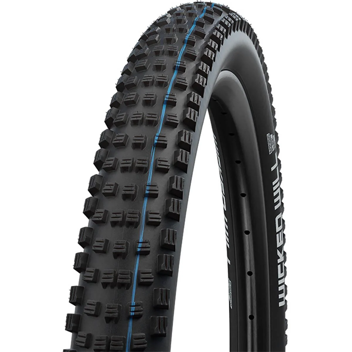 Pneu SCHWALBE WICKED WILL 29x2.40 ADDIX SPEEDGRIP SUPERGROUND Tubeless Ready Souple Noir