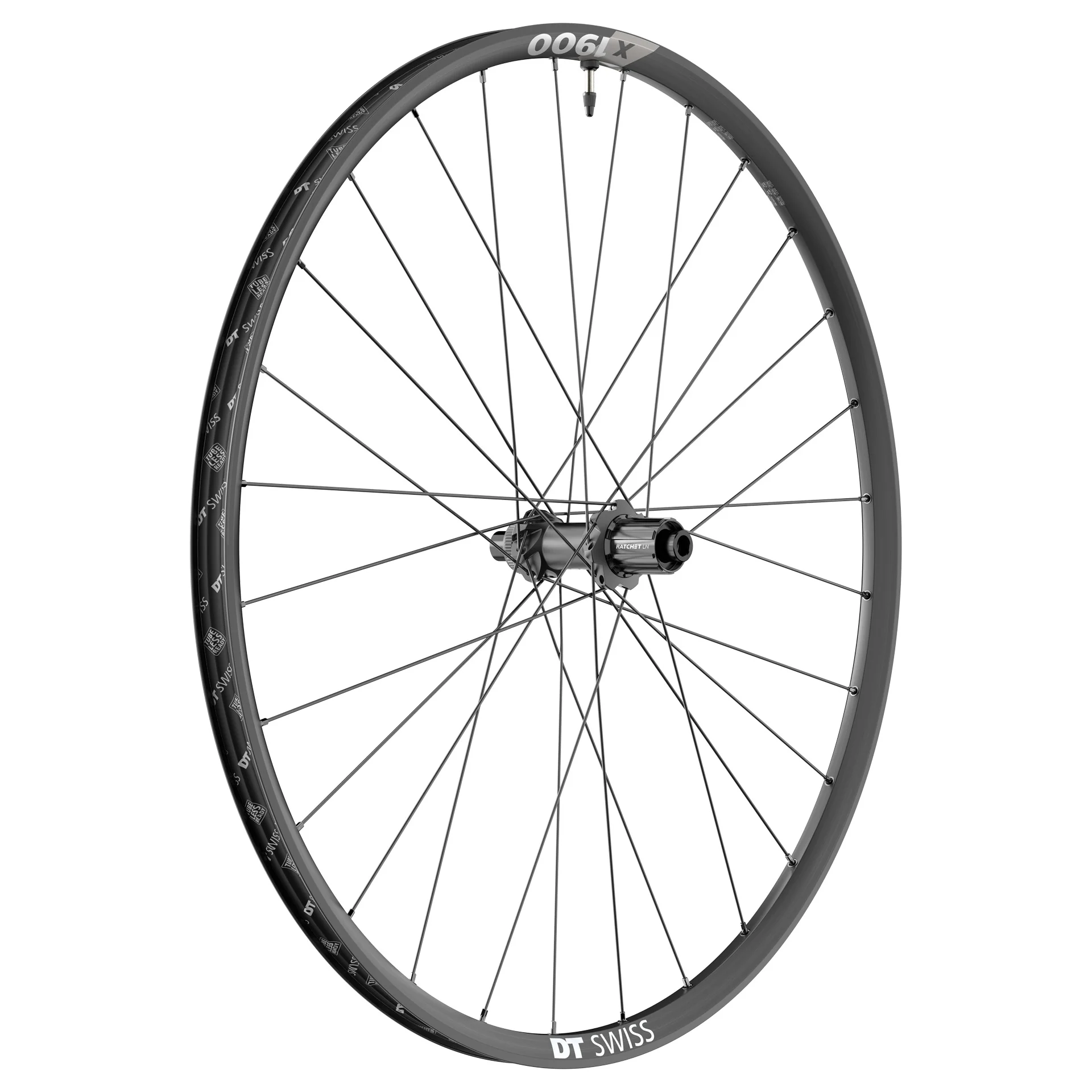Roue Arrière DT SWISS X 1900 SPLINE 29'' 25 mm 12x148 mm