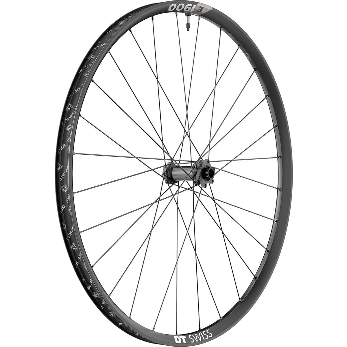 Roue Avant DT SWISS E 1900 SPLINE 30 mm 29" 15x110 mm Boost - Image 3