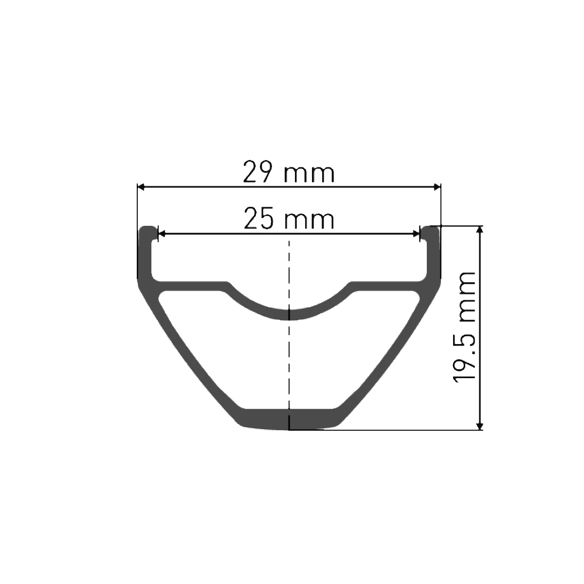 Roue Avant DT SWISS X 1900 SPLINE 25 mm 29" 15x100 mm - Image 4