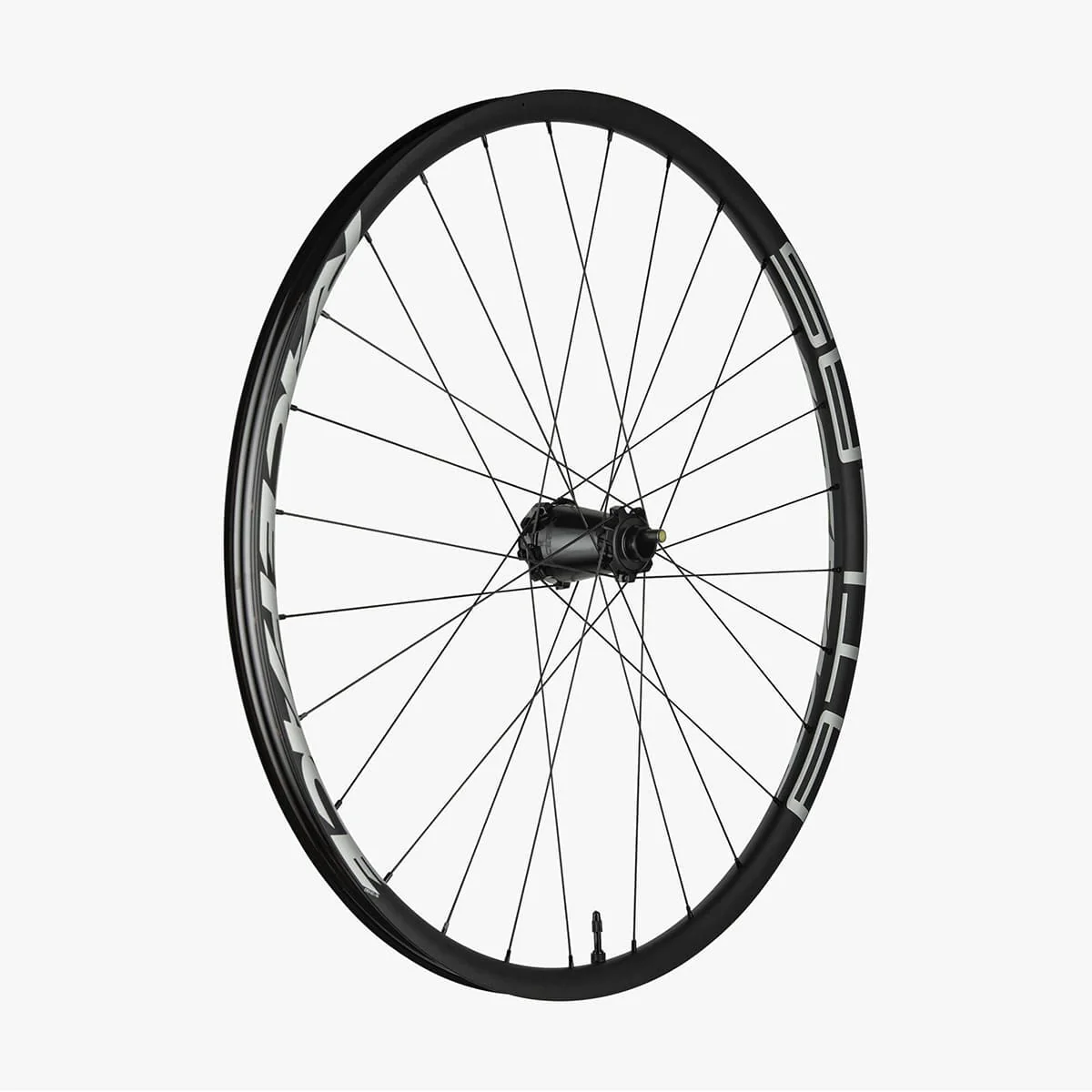 Roue Avant RACE FACE ATLAS 29" Axe 15-20x110 mm - Image 2