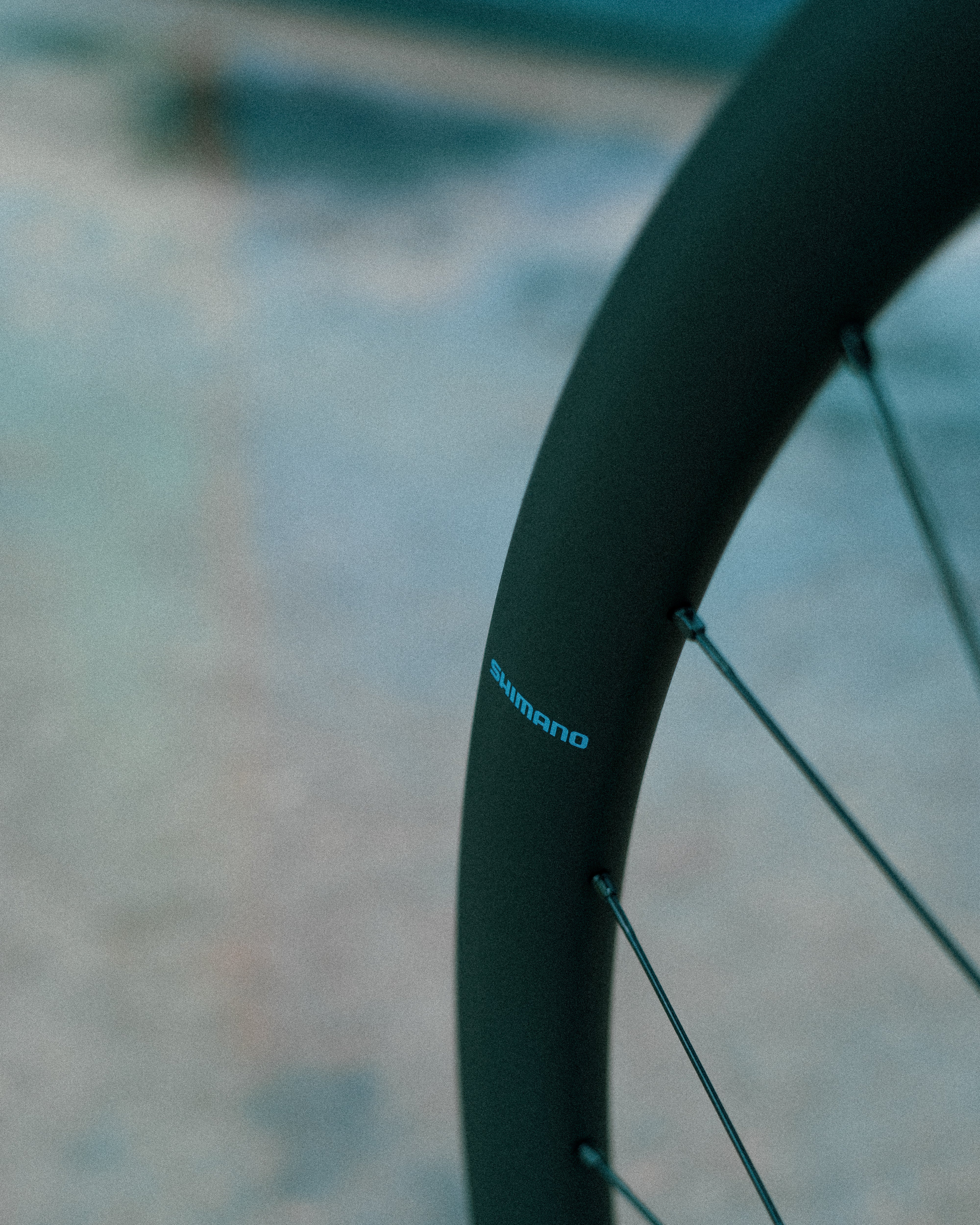Roue Avant SHIMANO GRX WH-RX880 700c Tubeless Ready (Center Lock) - Image 4