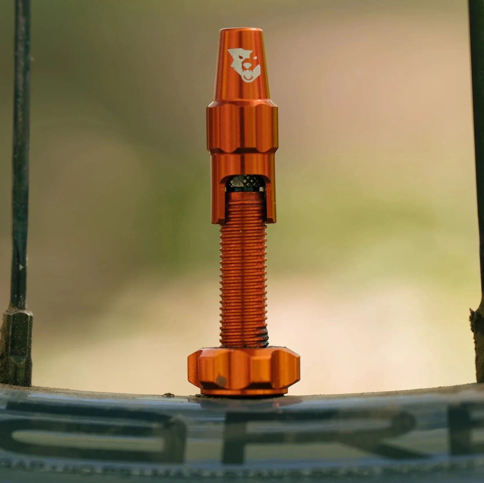 Lot de 2 Valves Tubeless WOLF TOOTH CLIK VALVE Orange - Image 2